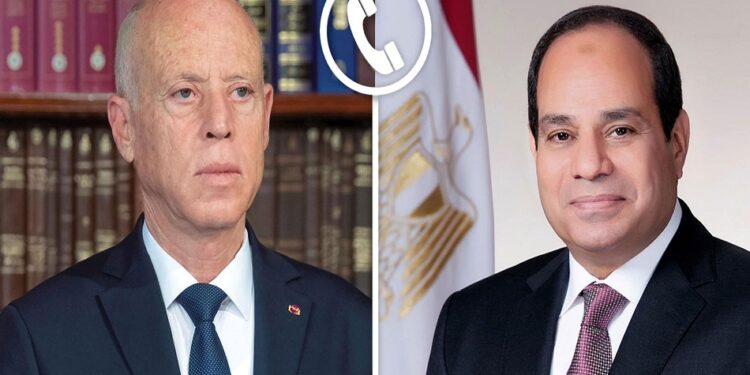 عاجل| الرئيس السيسي يتلقى اتصالًا هاتفيًا من نظير التونسي قيس سعيد