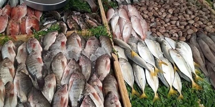 أسعار الأسماك في سوق العبور اليوم الإثنين