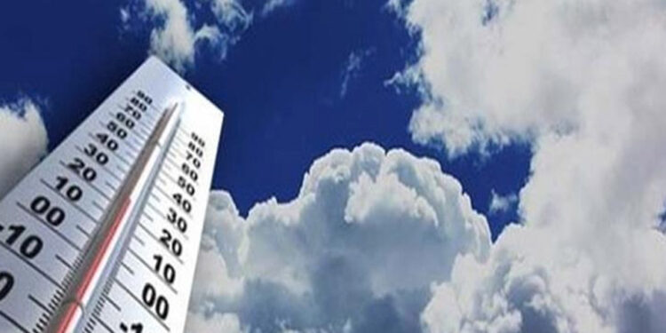 الطقس غدا.. مائل للحرارة نهارا وشبورة صباحا