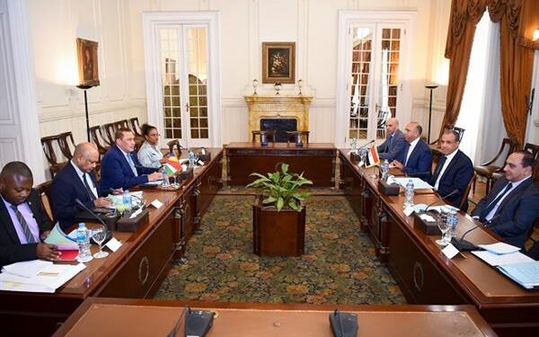 جلسة مشاورات ثنائية بين وزير الخارجية والهجرة ونظيره السيشلي