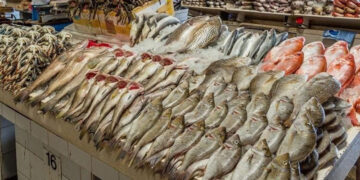 أسعار الأسماك في الأسواق اليوم الثلاثاء
