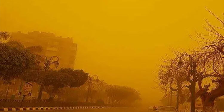 عواصف ترابية تضرب واحة سيوة والصحراء الغربية