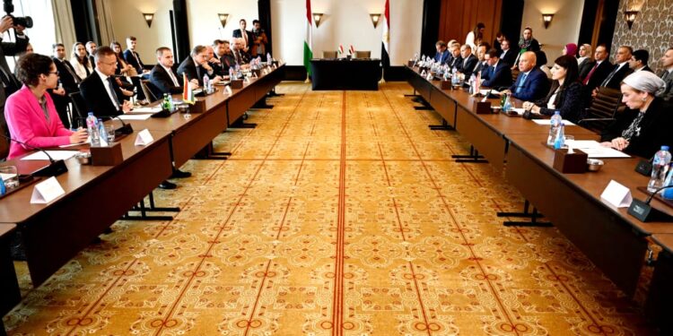 وزير الصناعة: اللجنة المشتركة المصرية المجرية للتعاون الاقتصادي  تمثل محطة جديدة في مسار الشراكة المتنامية بين البلدين