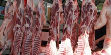 أسعار اللحوم الحمراء اليوم الأربعاء
