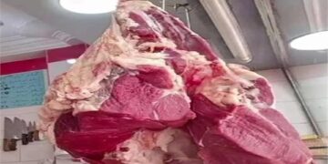 أسعار اللحوم الحمراء اليوم الأربعاء