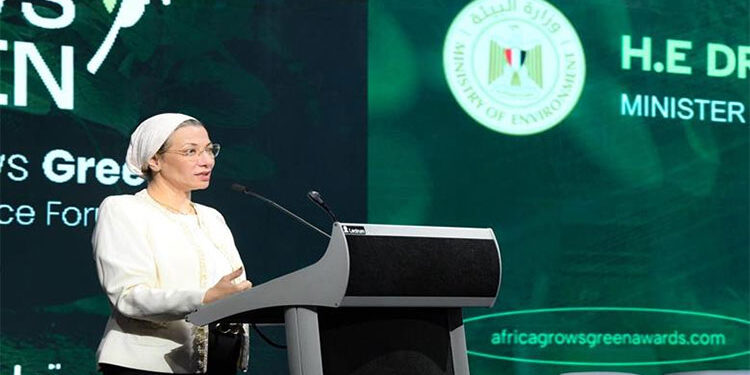 وزيرة البيئة تدعو للعمل المشترك لتنفيذ مشروعات خضراء قابلة للتطوير محليا وأفريقيا