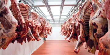 أسعار اللحوم الحمراء اليوم الأربعاء