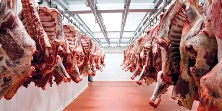 أسعار اللحوم الحمراء اليوم الأربعاء