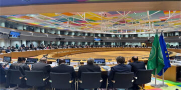 وزير الخارجية يلقى كلمة مصر في الاجتماع الوزاري الإفريقى الأوروبى