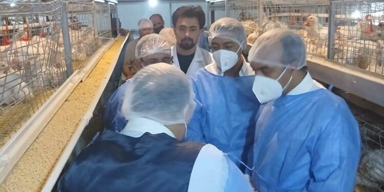 وزير الزراعة يستعرض جهود حماية الثروة الداجنة وتعزيز الاستقرار الوبائي في المحافظات