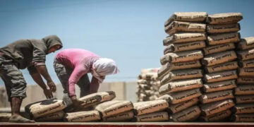 «المصري لمقاولي البناء»: أسعار الأسمنت تهدد قطاع التشييد.. ونطالب بتدخل حكومي عاجل