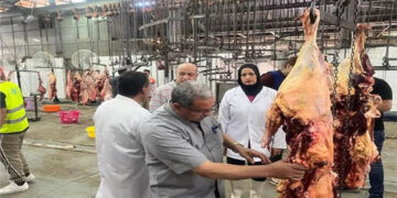 “الزراعة”: المجازر الحكومية استقبلت أكثر من 34 ألف أضحية في العيد بجميع المحافظات