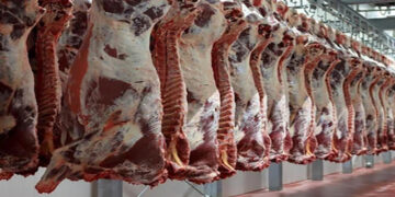 أسعار اللحوم الحمراء اليوم الأربعاء