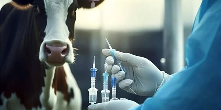 “الزراعة” تواصل جهودها لضمان جودة اللقاحات البيطرية وحماية الثروة الحيوانية خلال عيد الأضحى