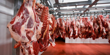 أسعار اللحوم الحمراء اليوم الأحد