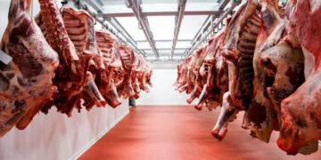 أسعار اللحوم الحمراء اليوم الأربعاء