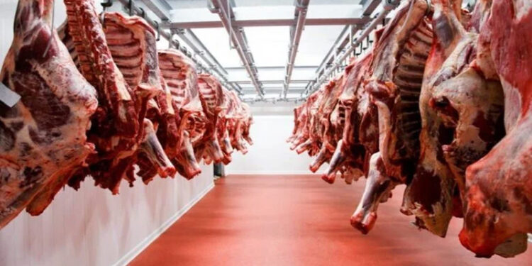 أسعار اللحوم الحمراء اليوم الأربعاء