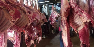 أسعار اللحوم الحمراء اليوم السبت