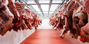 مجازر القاهرة تفتح أبوابها مجانا لذبح الأضاحي طوال أيام العيد