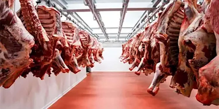 مجازر القاهرة تفتح أبوابها مجانا لذبح الأضاحي طوال أيام العيد