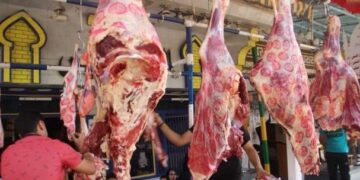 أسعار اللحوم الحمراء اليوم الخميس