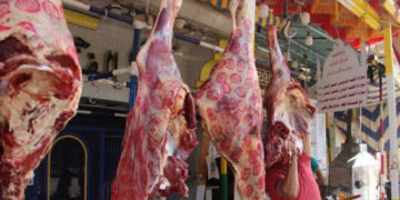 أسعار اللحوم الحمراء اليوم الخميس