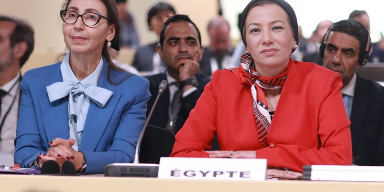 وزيرة البيئة تتوجه إلى فرنسا للمشاركة في مؤتمر الأمم المتحدة الثالث للمحيطات UNOC3