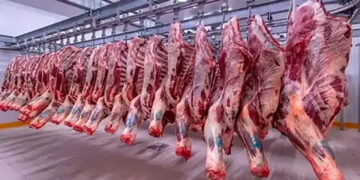 أسعار اللحوم الحمراء اليوم الأحد