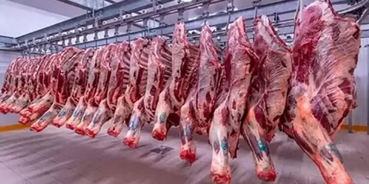 أسعار اللحوم الحمراء اليوم الأحد