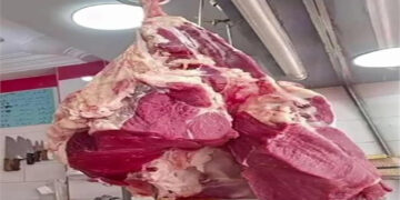 أسعار اللحوم الحمراء اليوم الاربعاء