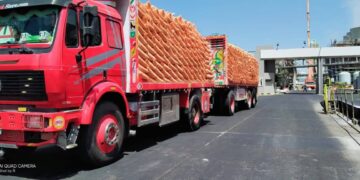 “الزراعة” تعلن مواصلة توزيع الأسمدة المدعمة للفلاحين