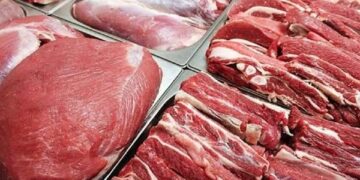 أسعار اللحوم الحمراء اليوم الاربعاء
