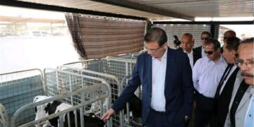 وزير الزراعة ومحافظ الشرقية يتفقدان مشروع الصالحية الزراعي المتكامل