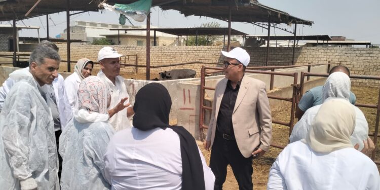 الزراعة تكشف تفاصيل قصة نجاح الوزارة في حماية الثروة الحيوانية من العترة الجديدة لفيروس الحمي القلاعية