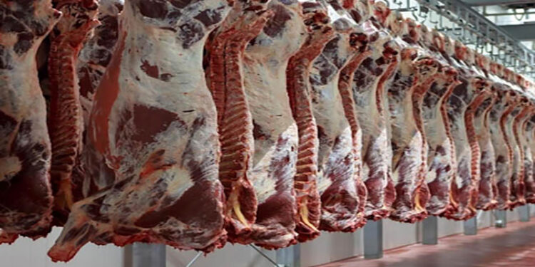أسعار اللحوم الحمراء اليوم الثلاثاء