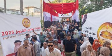 17.1 % نسبة المشاركة في انتخابات “الشيوخ” وهى الأعلى في تاريخ المجلس