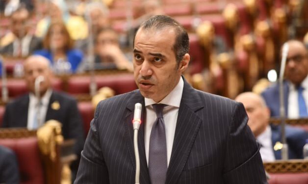 وزير الشئون النيابية: إجراء تعداد سكانى جديد فى مصر عام 2027
