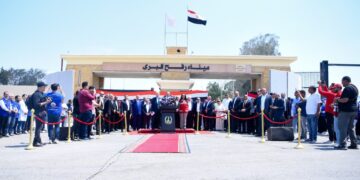 وزير الخارجية: الجهود المصرية مستمرة بتوجيهات الرئيس السيسي لوقف العدوان على غزة