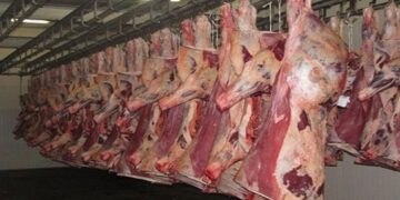 أسعار اللحوم الحمراء اليوم الخميس
