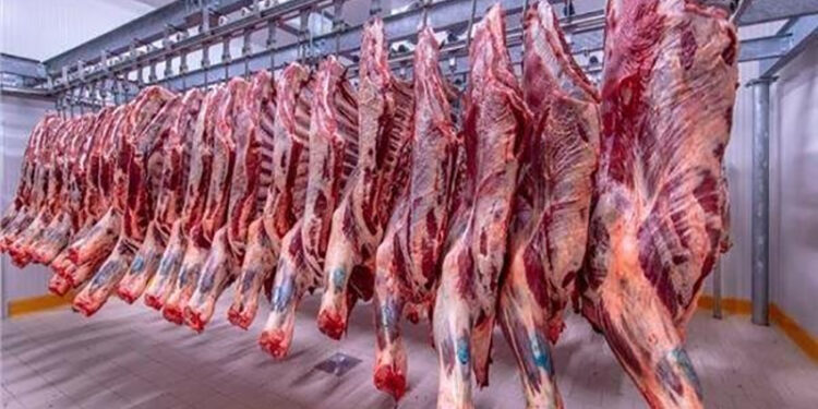 أسعار اللحوم في مصر اليوم الإثنين