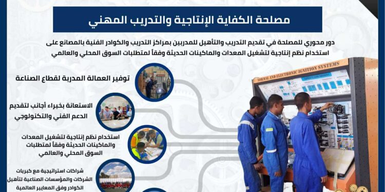 مصلحة الكفاية الإنتاجية تواصل دورها في توفير العمالة المدربة لقطاع الصناعة والاستعانة بخبراء أجانب لتقديم الدعم الفني