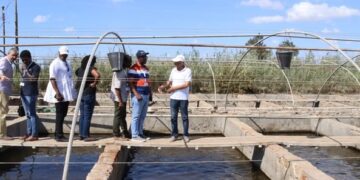 جهاز حماية وتنمية البحيرات والثروة السمكية: ختام البرنامج التدريبي لوفد غانا بمزرعة الزاوية