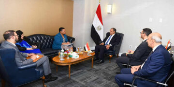 وزير الخارجية يلتقي المديرة التنفيذية للآلية الأفريقية لمراجعة النظراء