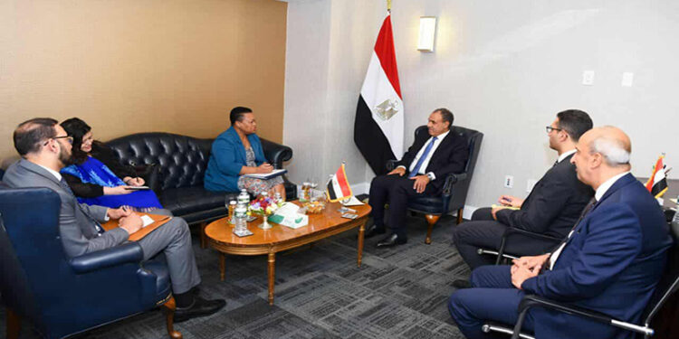 وزير الخارجية يلتقي المديرة التنفيذية للآلية الأفريقية لمراجعة النظراء