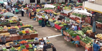 أسعار الخضروات والفاكهة في مصر اليوم الإثنين