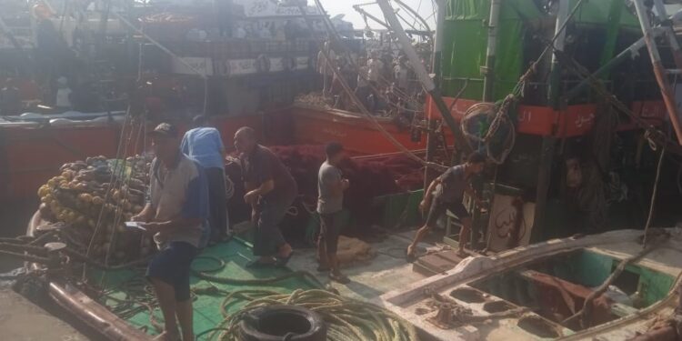 بعد توقف ٤ أشهر… انطلاق موسم صيد الشانشولا ٢٠٢٥ في خليج السويس