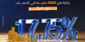 بنك التنمية الصناعية يعدل العائد علي حساب حصالة إلي 17.75%