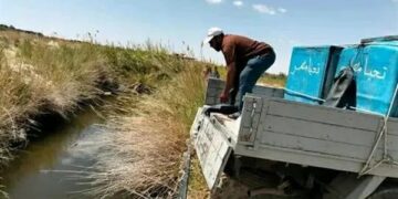 جهاز حماية وتنمية البحيرات والثروة السمكية يدعم واحة سيوة بمليون ذريعة سمكية