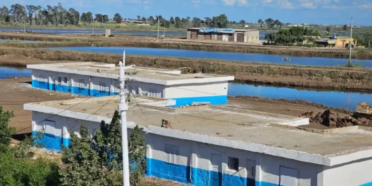 “حماية البحيرات” يعلن إنجازًا نوعيًا في تطوير المزارع السمكي