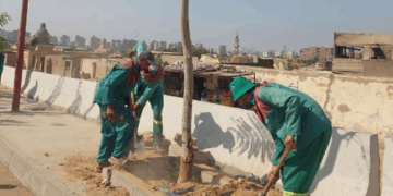 وزيرة التنمية المحلية  تابع الموقف التنفيذي للمرحلة الرابعة من المبادرة الرئاسية ” 100 مليون شجرة “